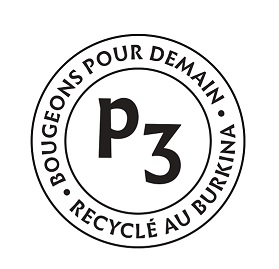 P^3 logo trans